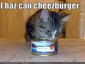 I Haz Can Cheeseburger